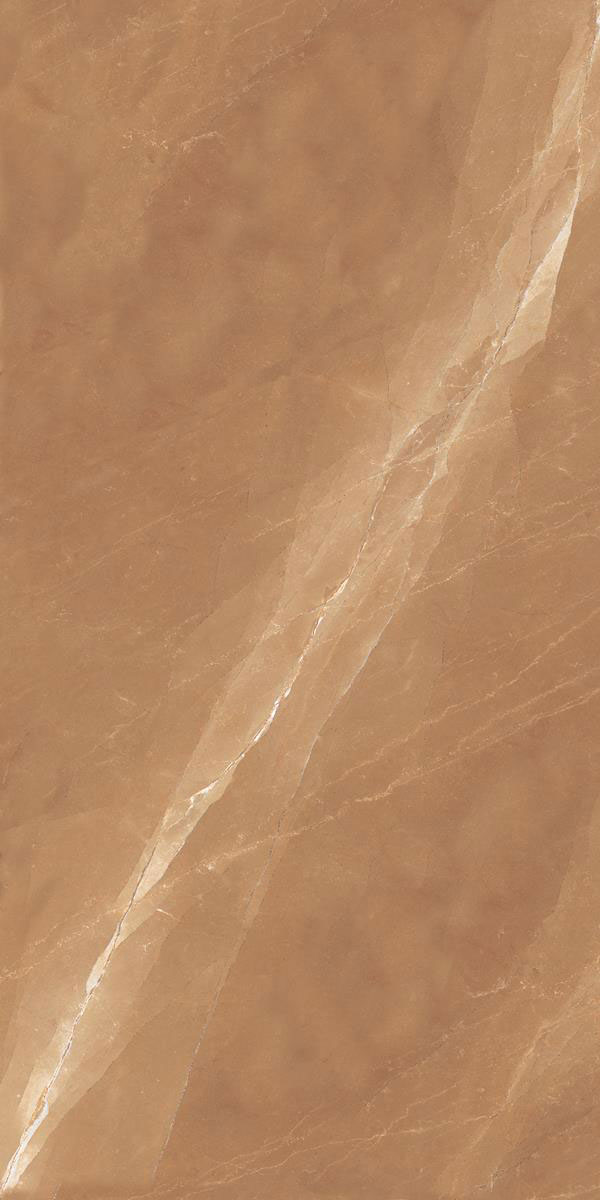 ARNAVA BRONZ P1